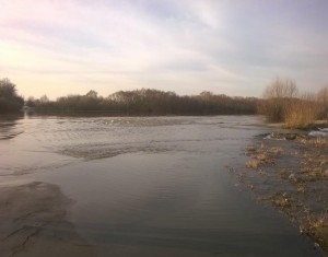 В Рязани началось половодье